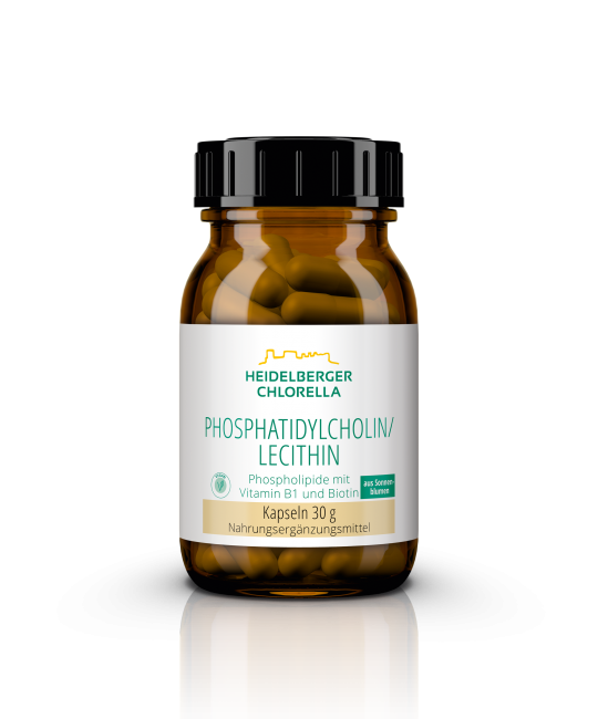 Phosphatidylcholin / Lecithin Kapseln