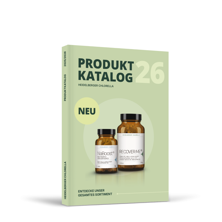 Produktkatalog