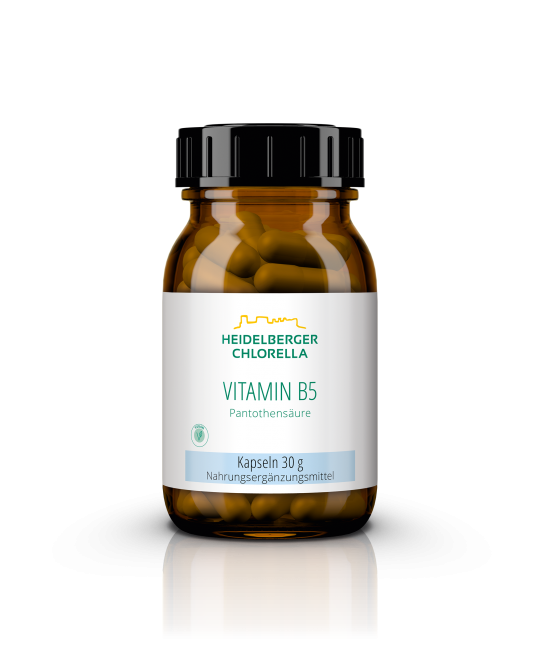 Vitamin B5 Pantothensäure Kapseln