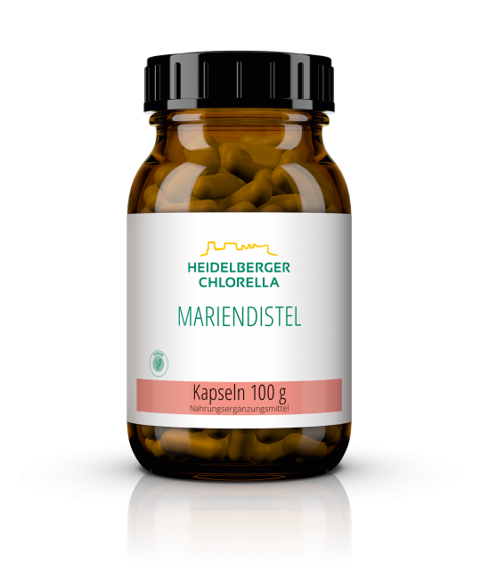 Mariendistel Kapseln