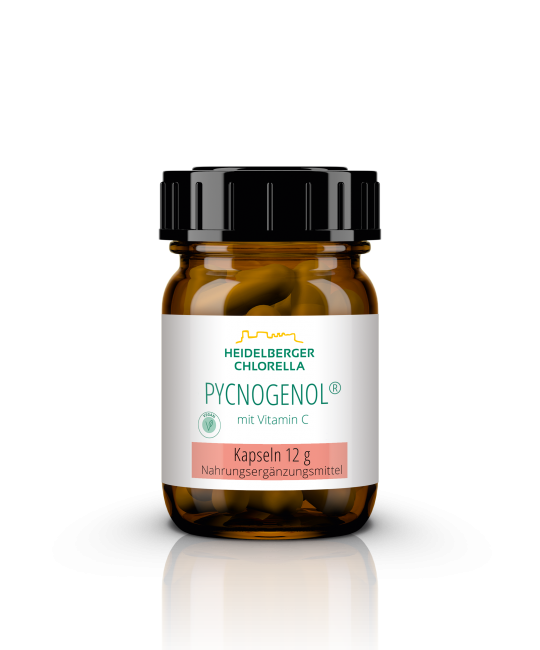 Pycnogenol® Kapseln