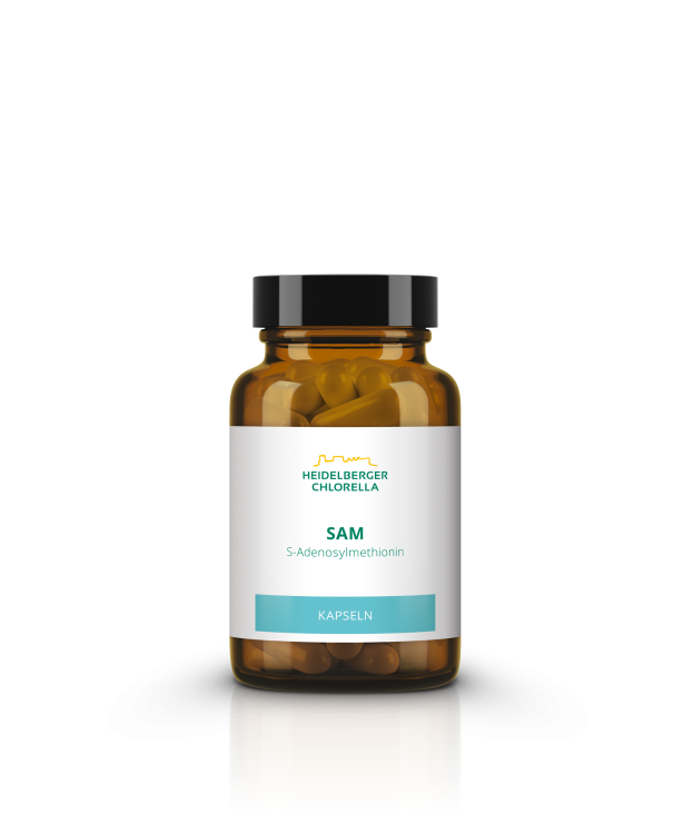 SAM S-Adenosylmethionin Kapseln