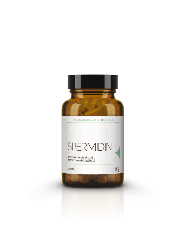 Spermidin