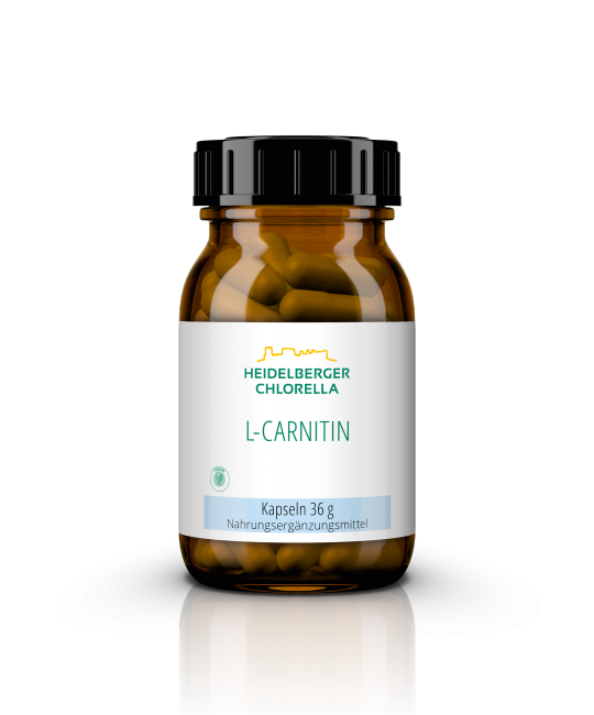 L-Carnitin Kapseln